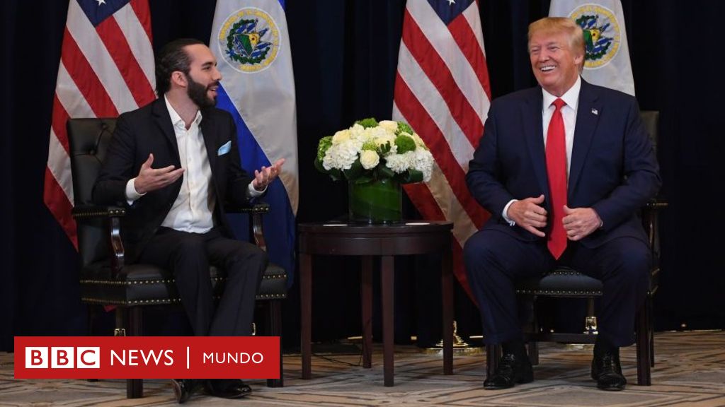 BBC News: Prórroga del TPS para El Salvador demuestra la buena sintonía entre Trump y Bukele bbc-news-prorroga-del-tps-para-el-salvador-demuestra-la-buena-sintonia-entre-trump-y-bukele